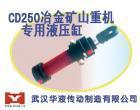 供应武汉华液CD250冶金矿山重机专用液压缸_机械及行业设备